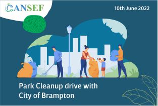Park Clean up in Brampton