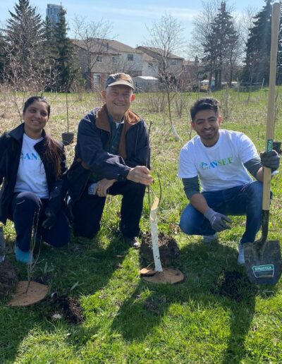 Tree planting CANSEF volunteers work with City of Mississauga